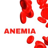 what is Anemia
