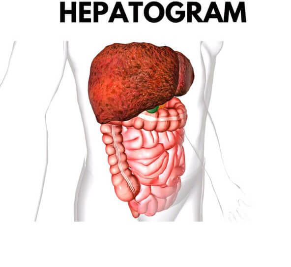 Гепатограмма